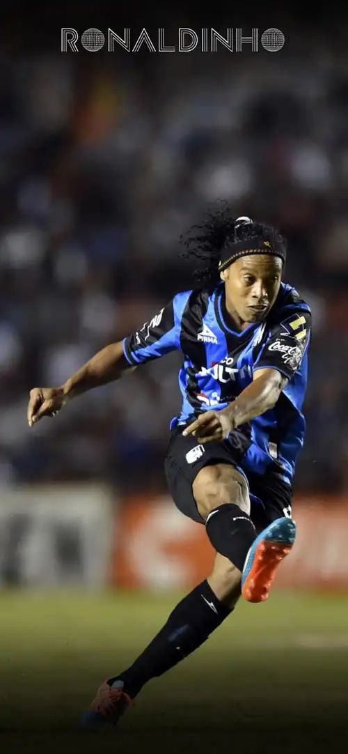 合不仅促进 合不仅促进