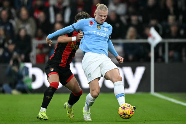 赛的领头羊 赛的领头羊